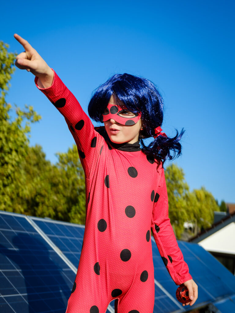 Marian Wilhelm - Ladybug