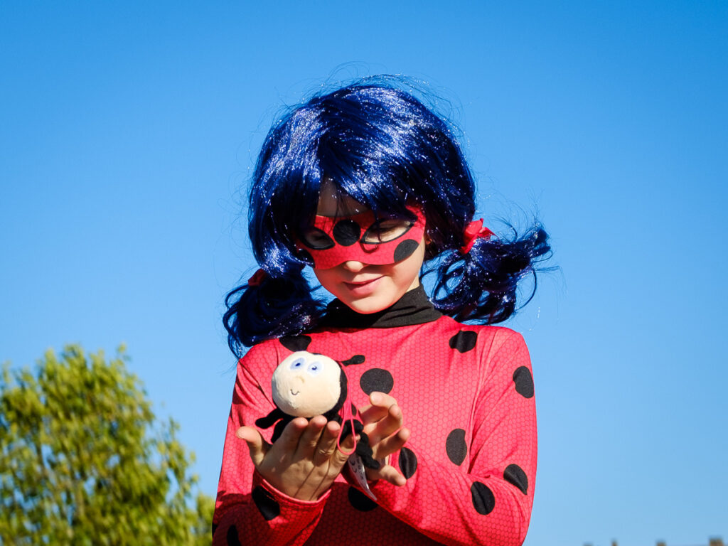 Marian Wilhelm - Ladybug