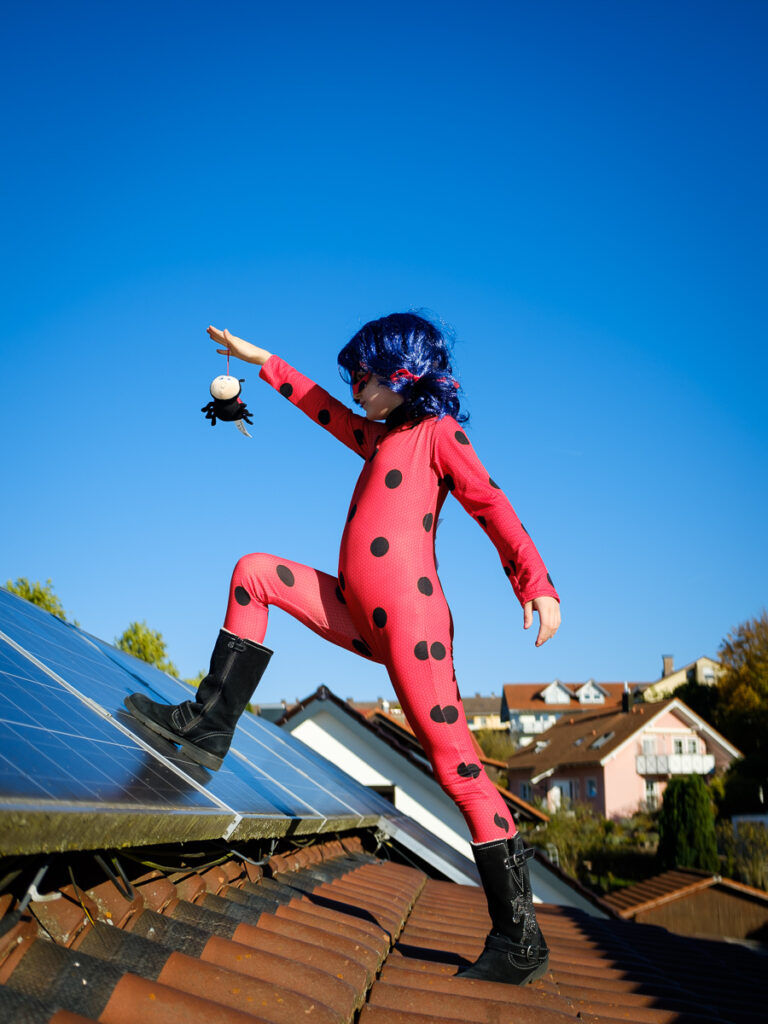 Marian Wilhelm - Ladybug