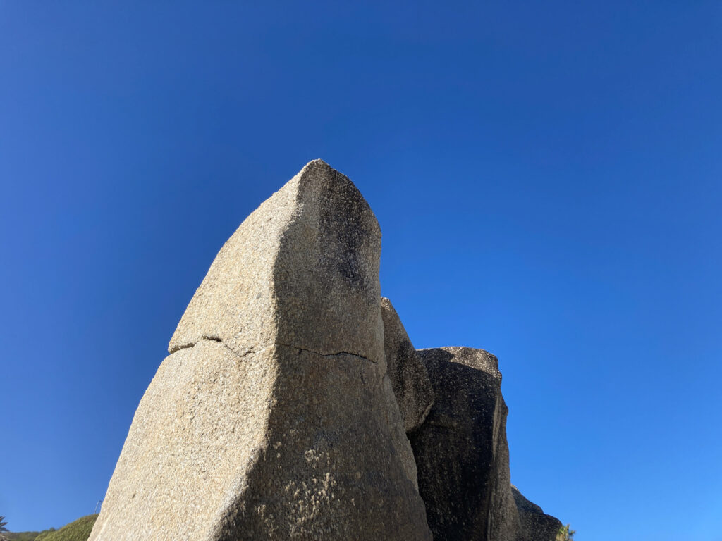 Marian Wilhelm - Capetown