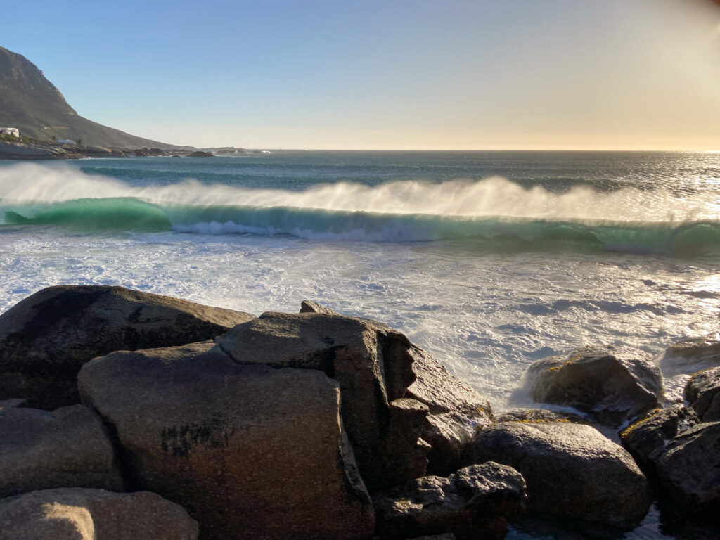 Marian Wilhelm - Capetown