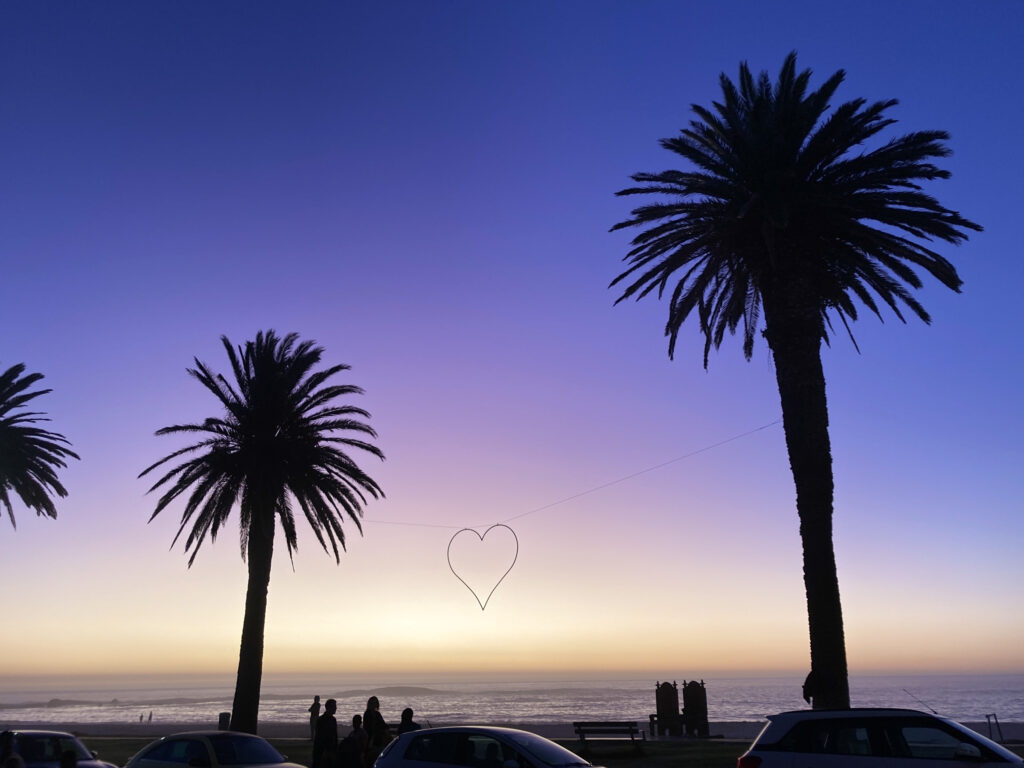 Marian Wilhelm - Capetown