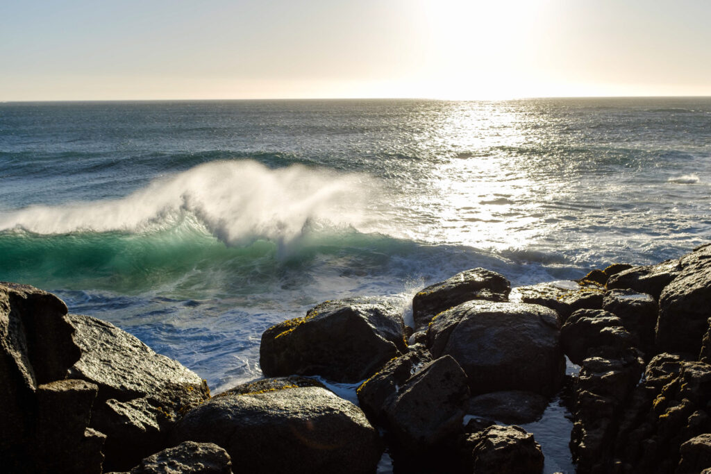 Marian Wilhelm - Capetown