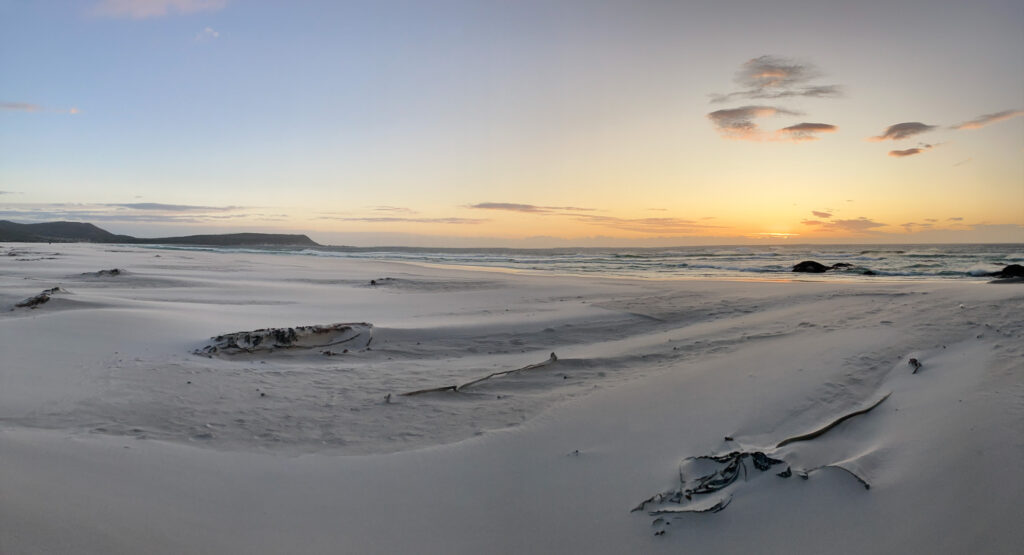 Marian Wilhelm - Capetown