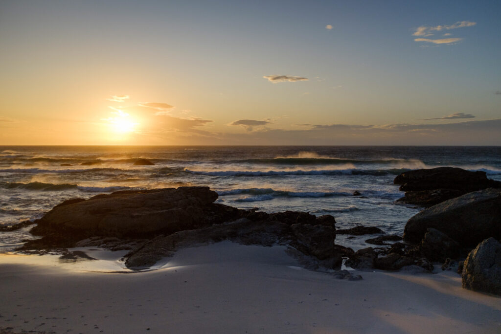 Marian Wilhelm - Capetown