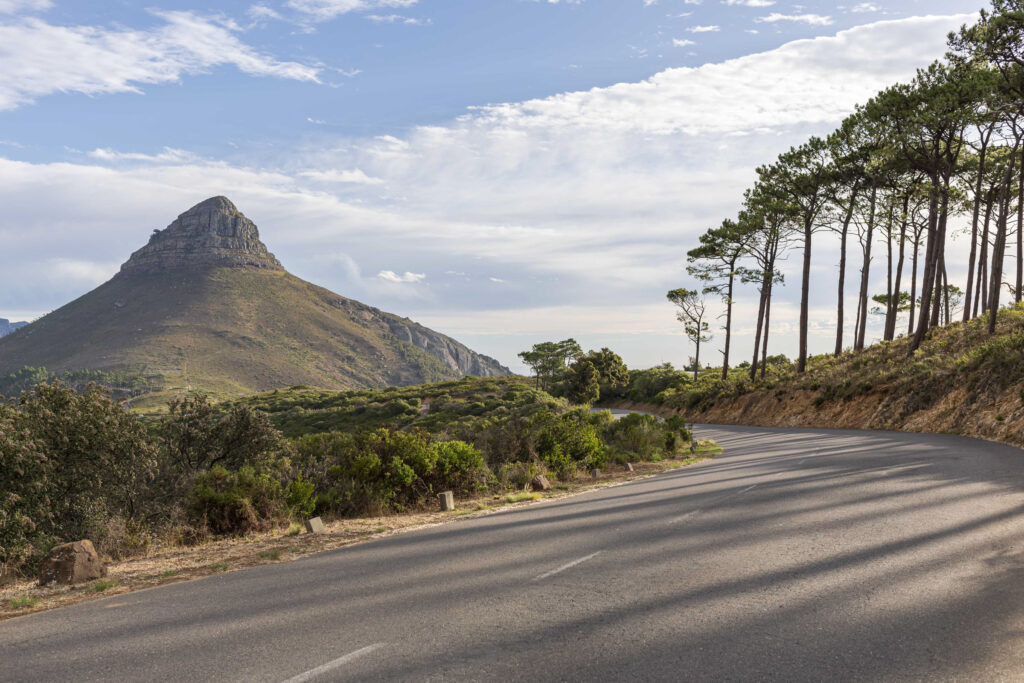 Marian Wilhelm - Capetown