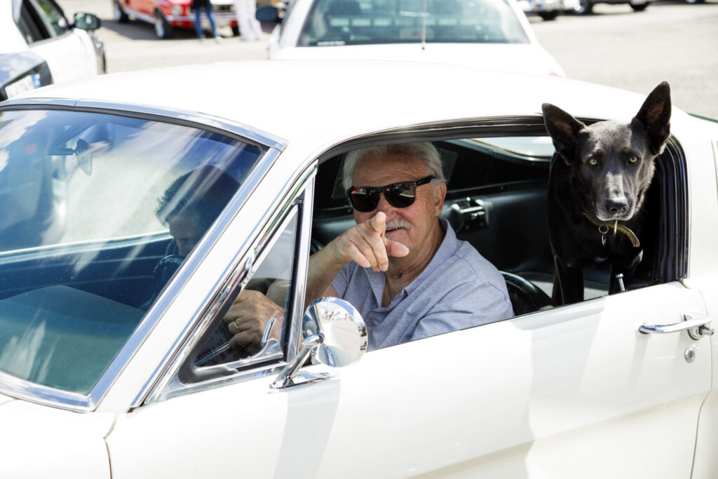 Marian Wilhelm - Stahl US Cars