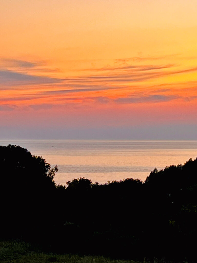 Marian Wilhelm - Auszeit